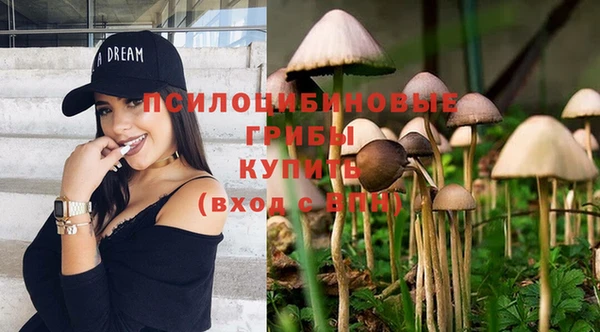 каннабис Богородицк