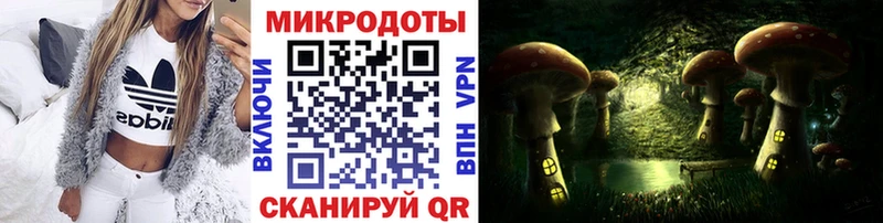 как найти   Киренск  Псилоцибиновые грибы Psilocybe 